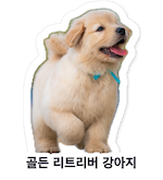 Golden retriever puppy sticker with its Korean name