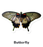 Butterfly sticker