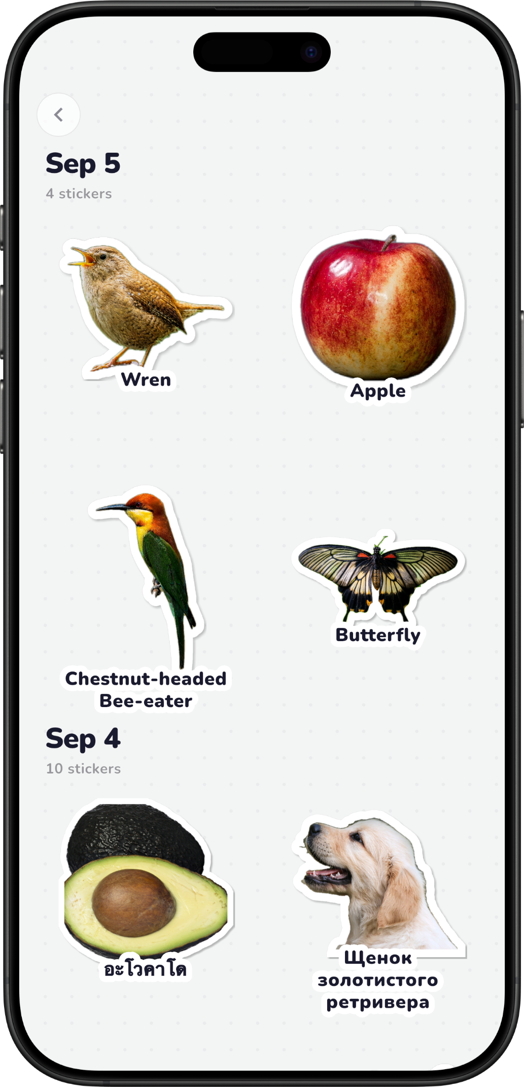 CatchLingo — your sticker collection browsed by date