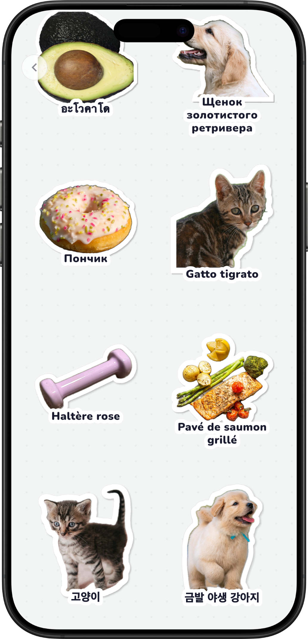 CatchLingo — choose from 15 target languages and regional accents