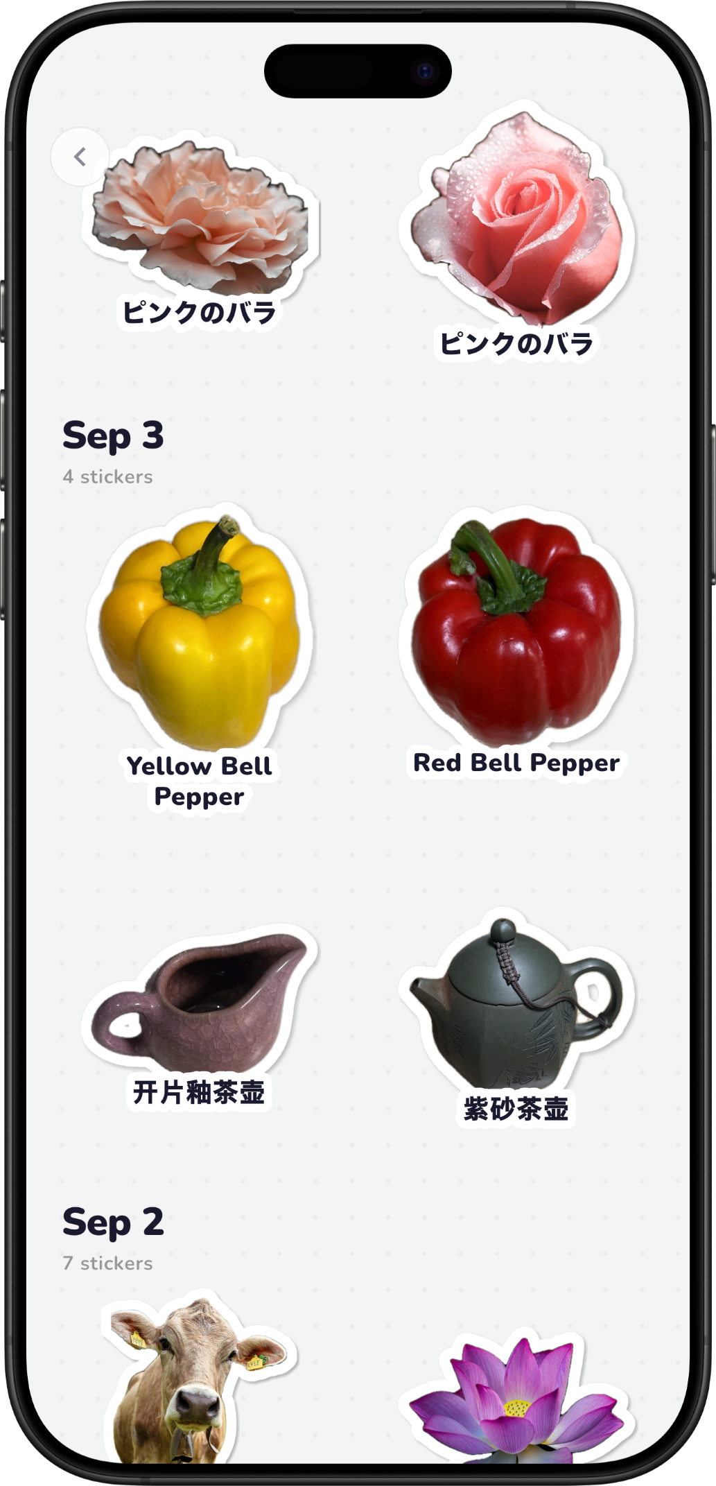 CatchLingo home screen showing a sticker collection collected in six different languages