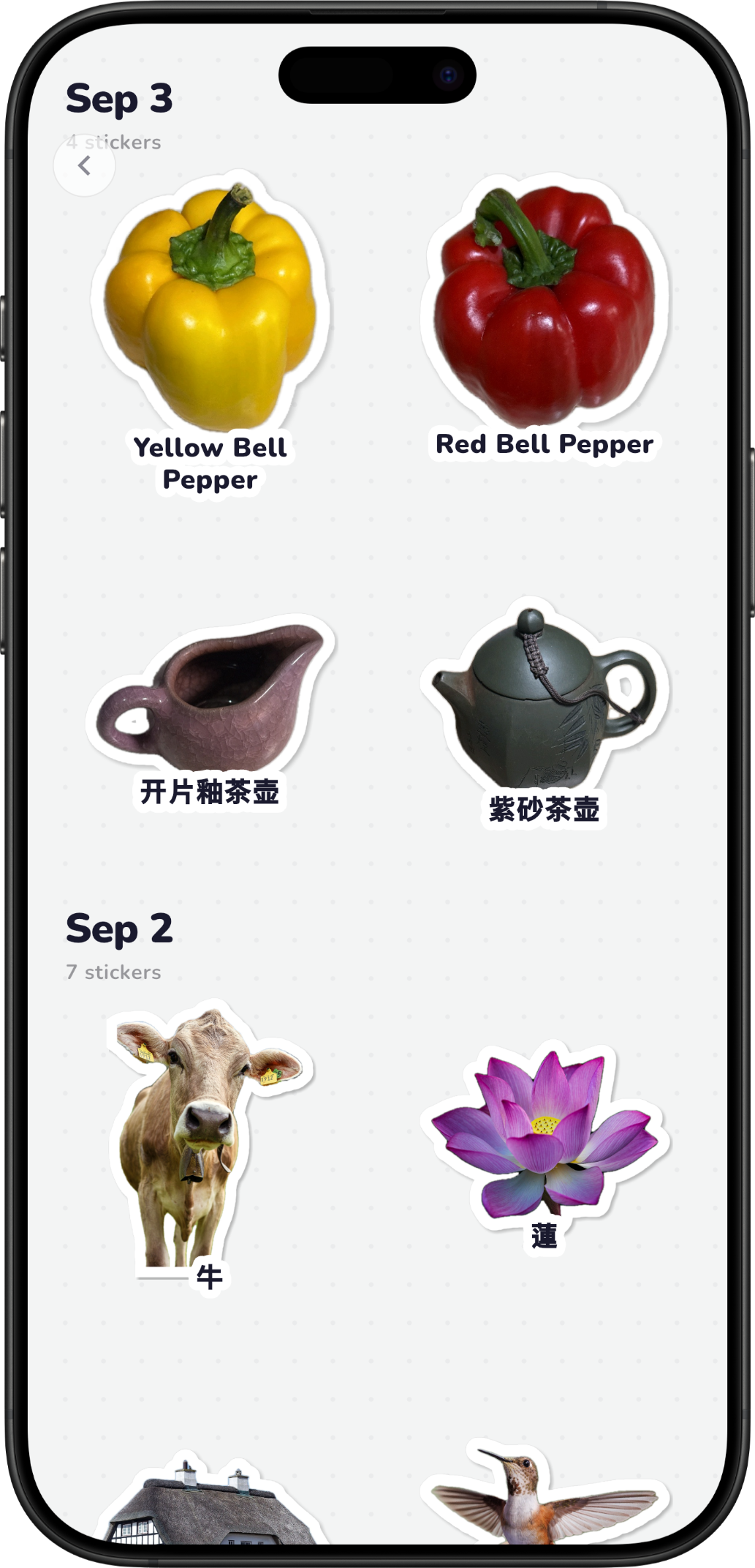 CatchLingo — your sticker album organized by category