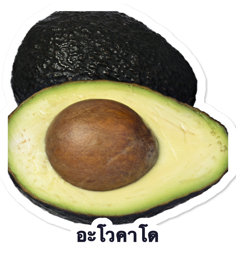 Avocado sticker with its Thai name