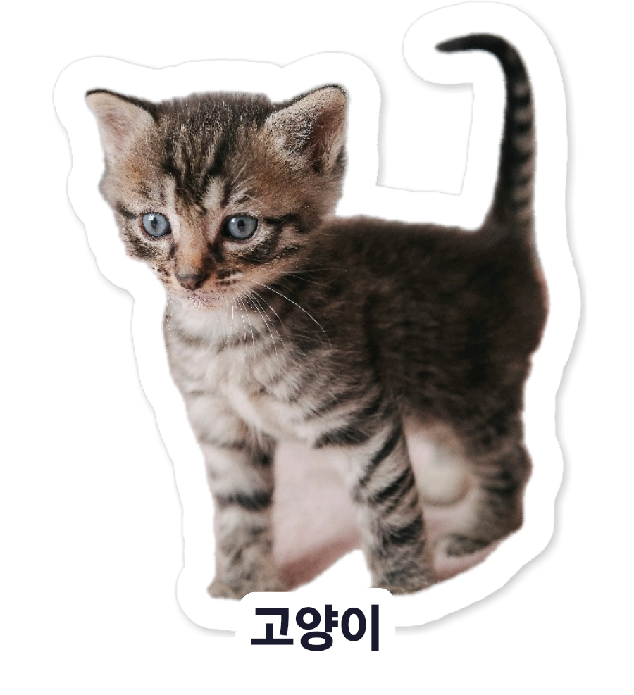Cat sticker with its Korean name