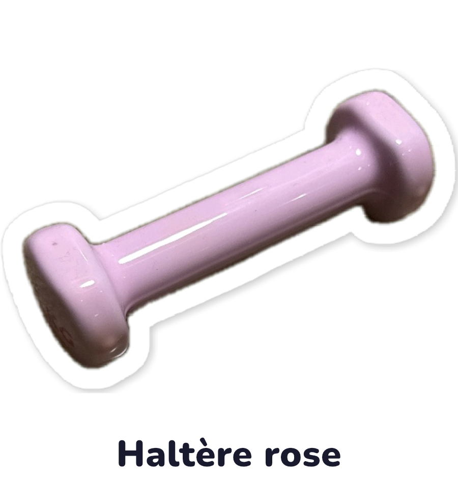 Pink dumbbell sticker with its French name